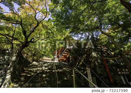 談山神社　拝殿　奈良県桜井市 72217390