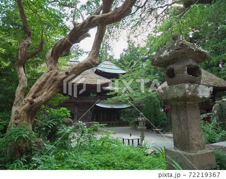 夏の西明寺 夏の西明寺 72219367