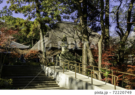 円通寺　境内　岡山県倉敷市 72220749