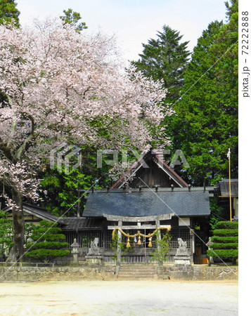 松川町部奈 春の諏訪神社 松川町部奈 春の諏訪神社 72222888