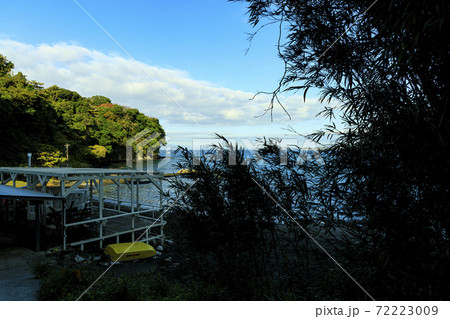 湘南三浦半島神奈川県三浦市油壷の冬 72223009
