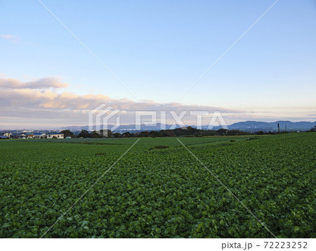 畑（冬） 72223252