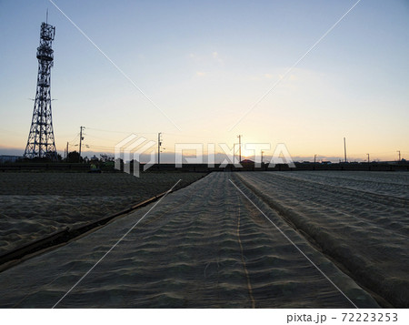 畑(冬) 畑(冬) 72223253