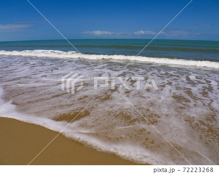 トリニティ・ビーチ トリニティ・ビーチ 72223268