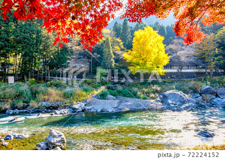 東京都 御岳渓谷の渓流と紅葉の写真素材