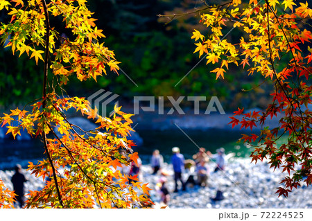 東京都 御岳渓谷の渓流と紅葉の写真素材
