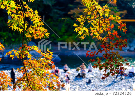 東京都 御岳渓谷の渓流と紅葉の写真素材