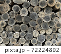 Tree cross section for background 72224892