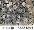 Tree cross section for background 72224894