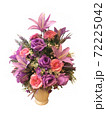 Plants and Flowers 72225042