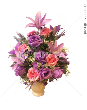 Plants and Flowers 72225042