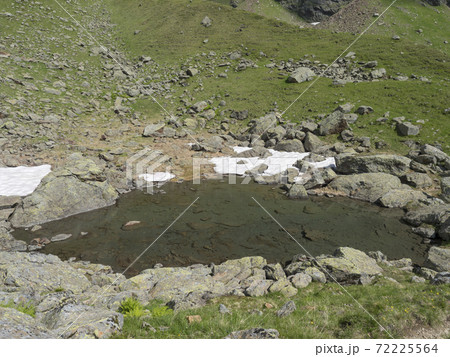 small pond from melting snow with rock and stones at alpine meadow. Tyrol, Stubai Alps, Austria 72225564