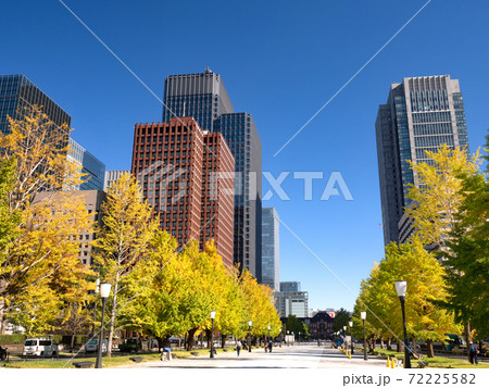 東京都 丸の内オフィスビル街とイチョウ並木 の写真素材