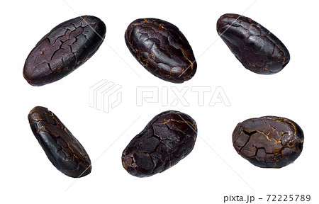 cacao beans isolated on white background cacao beans isolated on white background 72225789