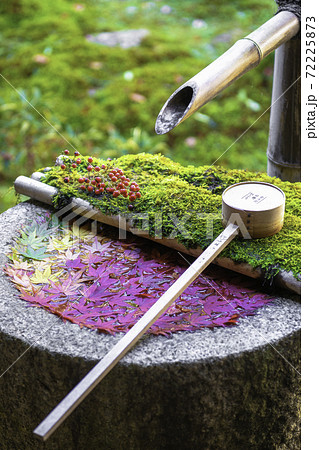 【秋】柳谷観音の花手水 【秋】柳谷観音の花手水 72225873