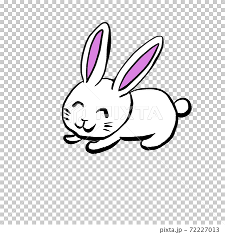 うさぎ ウサギ 兎 卯 2023年 令和5年の干支のイラスト素材 [72227013