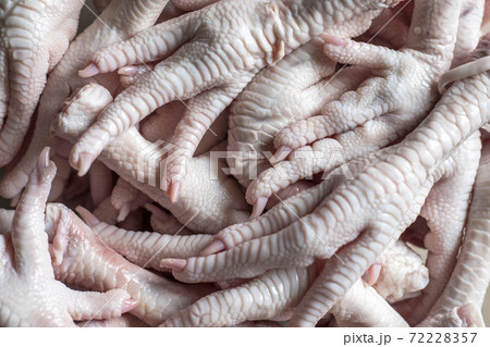 raw chicken feets for background raw chicken feets for background 72228357