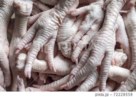 raw chicken feets for background raw chicken feets for background 72228358