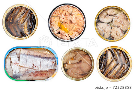 top view of canned saury fish isolated on white 72228858