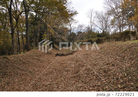 菅谷館跡の土塁と空堀(埼玉県比企郡嵐山町) 菅谷館跡の土塁と空堀(埼玉県比企郡嵐山町) 72229021