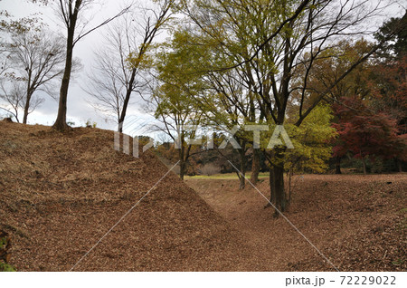 菅谷館跡の土塁と空堀(埼玉県比企郡嵐山町) 菅谷館跡の土塁と空堀(埼玉県比企郡嵐山町) 72229022