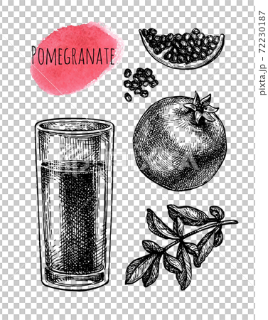 Ink sketch of pomegranate juice. Ink sketch of pomegranate juice. 72230187