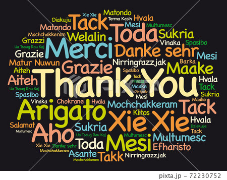 Thank You word cloud in different languages, concept 72230752