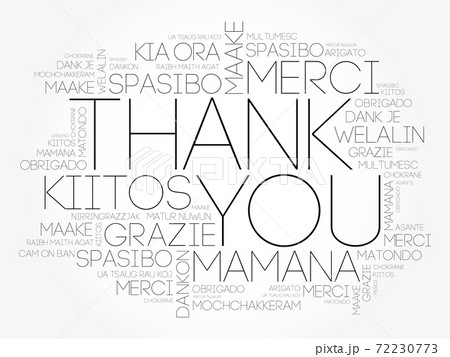 Thank You word cloud in different languages, concept background 72230773