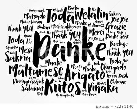 Danke (Thank You in German) word cloud background 72231140