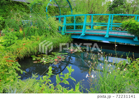 西武池袋空中庭園「食と緑の空中庭園」睡蓮の庭 72231141