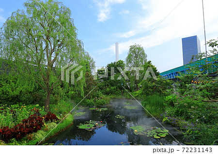 西武池袋空中庭園「食と緑の空中庭園」睡蓮の庭 72231143