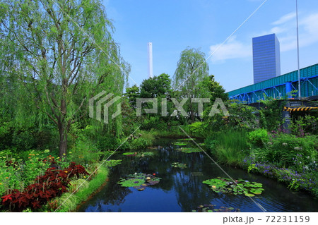 西武池袋空中庭園「食と緑の空中庭園」睡蓮の庭 72231159
