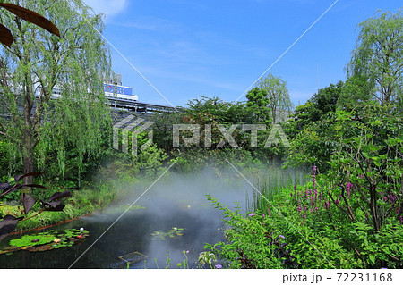 西武池袋空中庭園「食と緑の空中庭園」睡蓮の庭 72231168