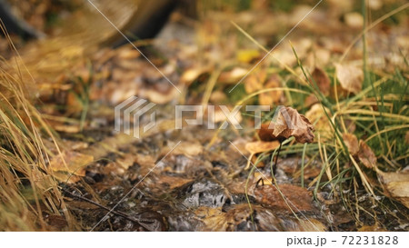 The woman travel on mixed terrain cycle touring with bikepacking. The traveler journey with bicycle bags. Sport tourism bikepacking. The woman travel on mixed terrain cycle touring with bikepacking. The traveler journey with bicycle bags. Sport tourism bikepacking. 72231828