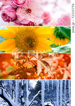 春夏秋冬のコラージュ背景画像の写真素材