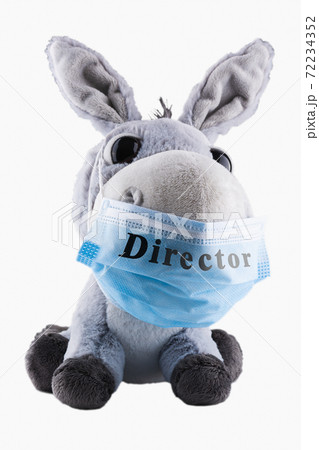Director donkey in a medical mask. Humor. Mockery. Soft toy on a white background. Isolate. Director donkey in a medical mask. Humor. Mockery. Soft toy on a white background. Isolate. 72234352