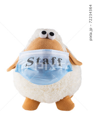 A soft toy sheep in a medical mask with the words staff. White background. Humor. Mockery. Isolate. 72234364