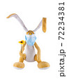 Cute soft toy hare with a flower and in a medical mask on a white background. Isolate. 72234381