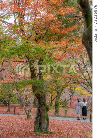 東福寺 東福寺 72236976