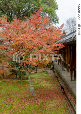 東福寺 東福寺 72236995