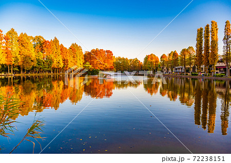 埼玉市営別所沼公園の紅葉 72238151