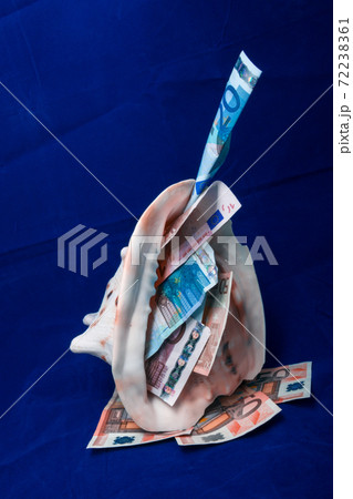 Euro banknotes of different denominations are at sea shell Euro banknotes of different denominations are at sea shell 72238361