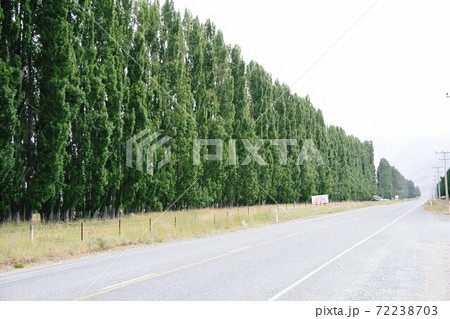 ニュージーランド　アオラキ/マウントクック国立公園 72238703