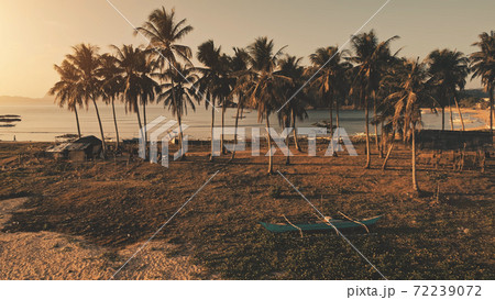 Sun paradise island aerial. Traditional boat at grass sea shore. Tourists at palm trees. Sand beach 72239072