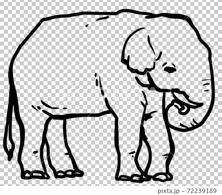 ぞうの主線だけイラスト 72239189