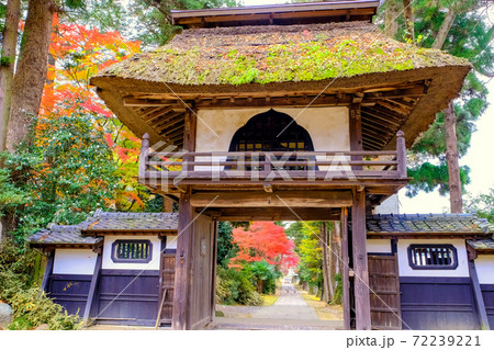 茅葺の山門と紅葉 茅葺の山門と紅葉 72239221