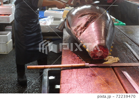 大間産本マグロの解体とマグロの競り。 大間産本マグロの解体とマグロの競り。 72239470