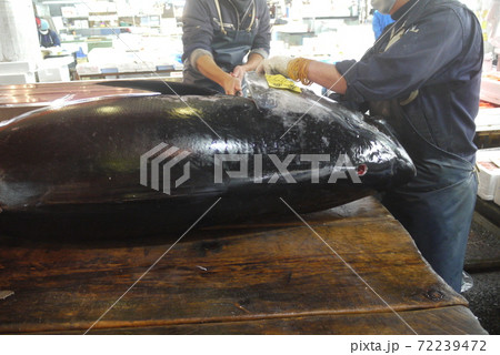 大間産本マグロの解体とマグロの競り。 72239472