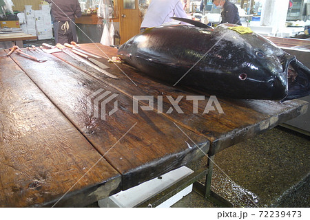 大間産本マグロの解体とマグロの競り。 72239473