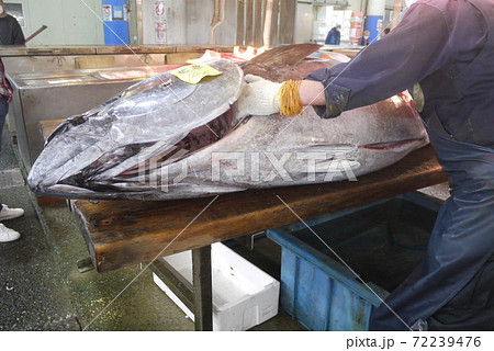 大間産本マグロの解体とマグロの競り。 大間産本マグロの解体とマグロの競り。 72239476